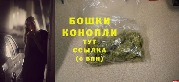 дживик Осинники