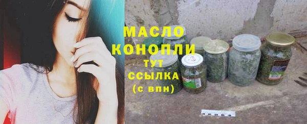 дживик Осинники