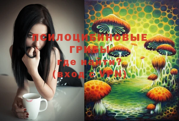 мет Осташков