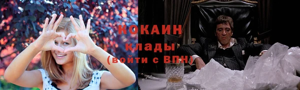 Альфа ПВП Пересвет