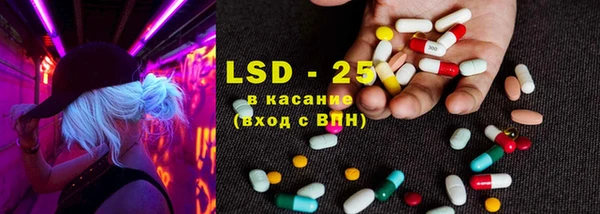 дживик Осинники