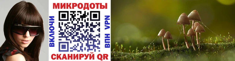 Галлюциногенные грибы GOLDEN TEACHER  Тулун 