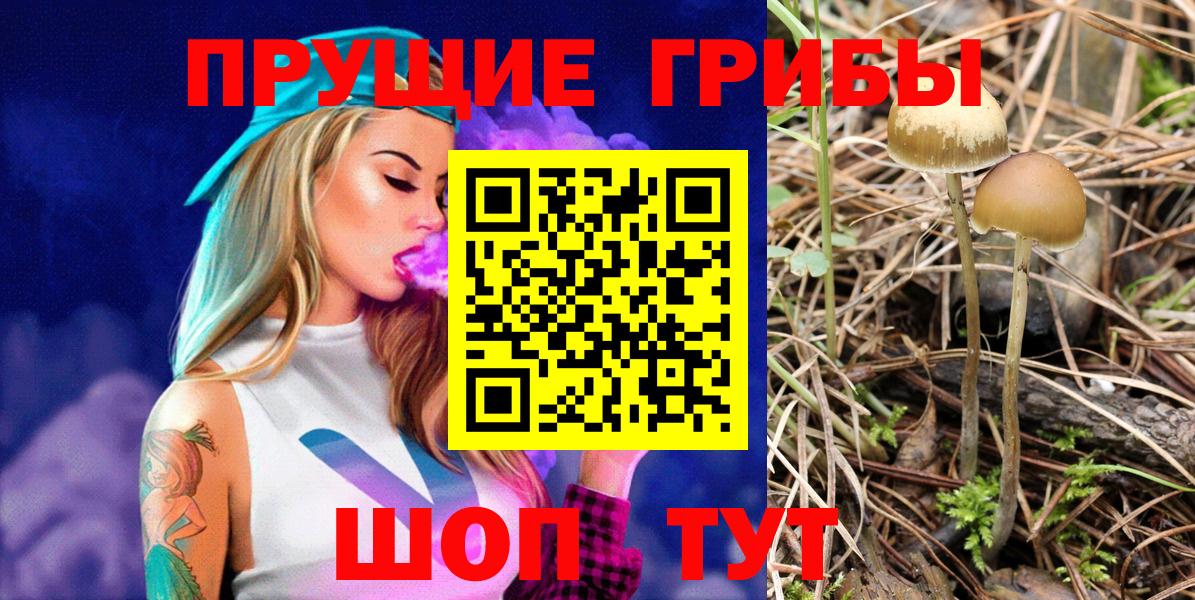 Галлюциногенные грибы прущие грибы Тулун