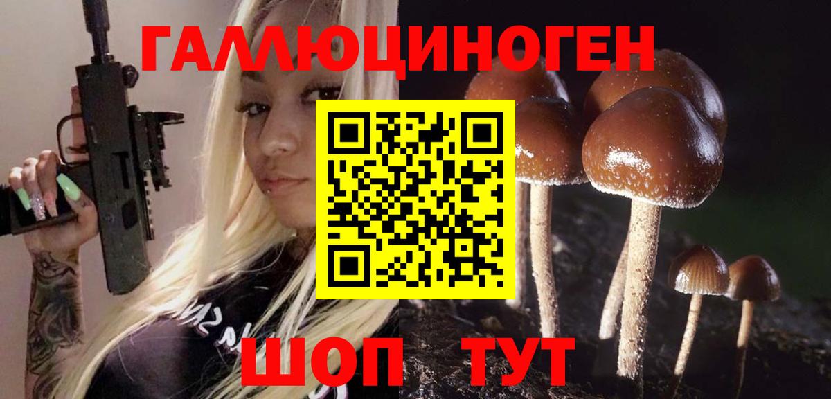 закладки  Псилоцибиновые грибы GOLDEN TEACHER  Вход с VPN  Тулун  Псилоцибиновые грибы GOLDEN TEACHER 